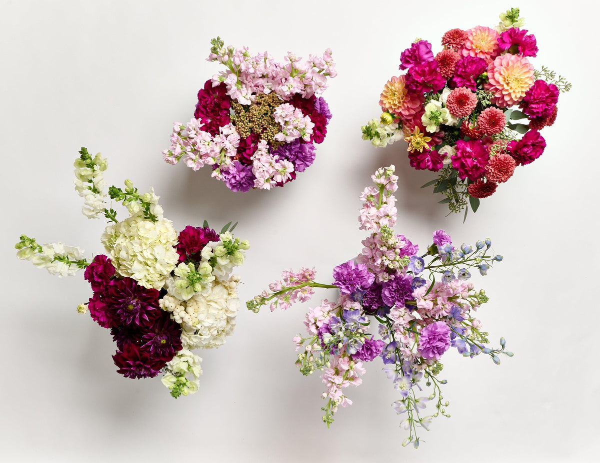 Florals - Eve & Auburn